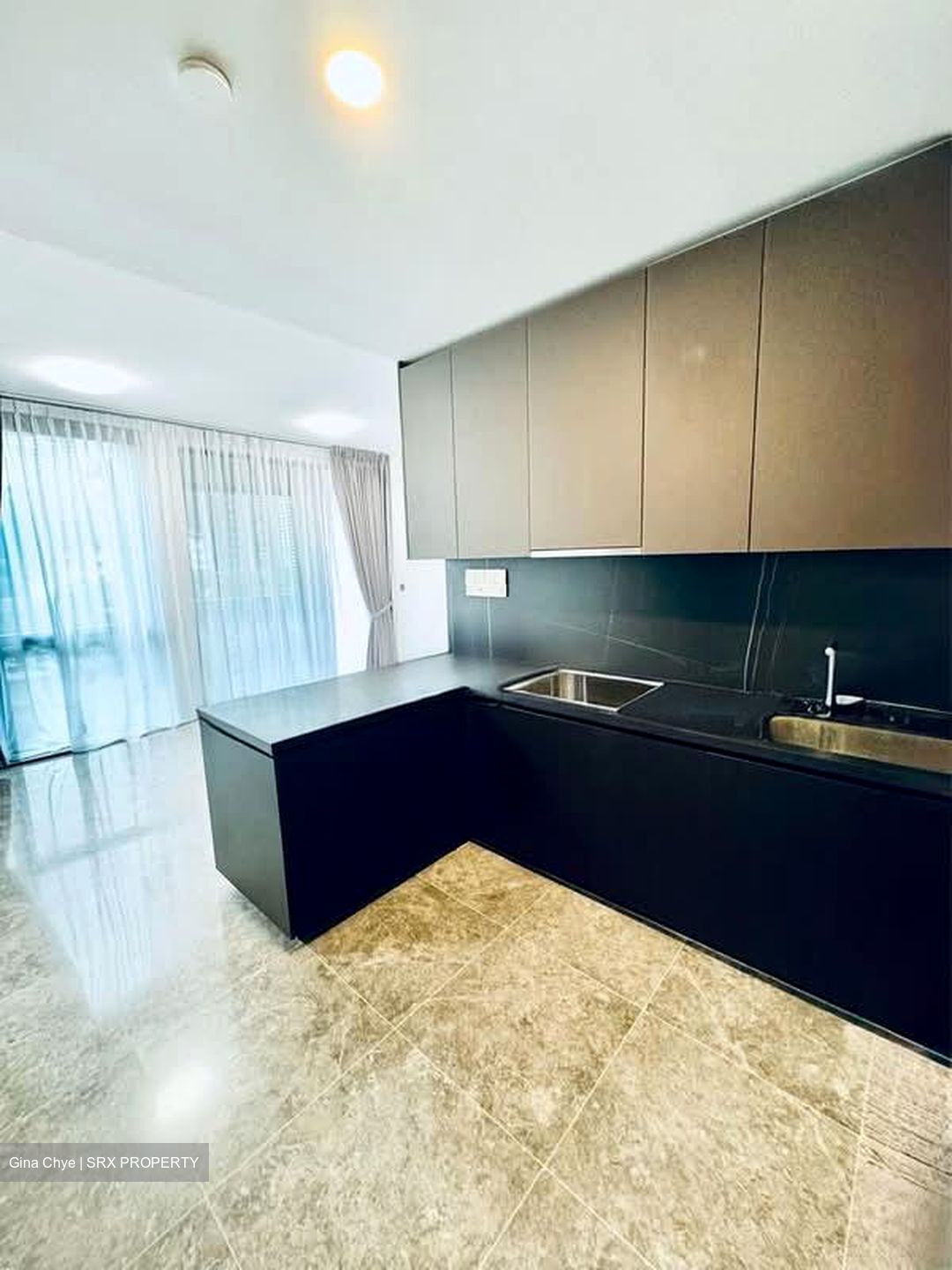 Hyll On Holland (D10), Condominium #581487151